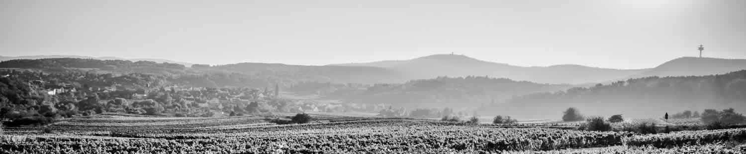 RA Grema Bad Dürkheim Kanzlei Grema